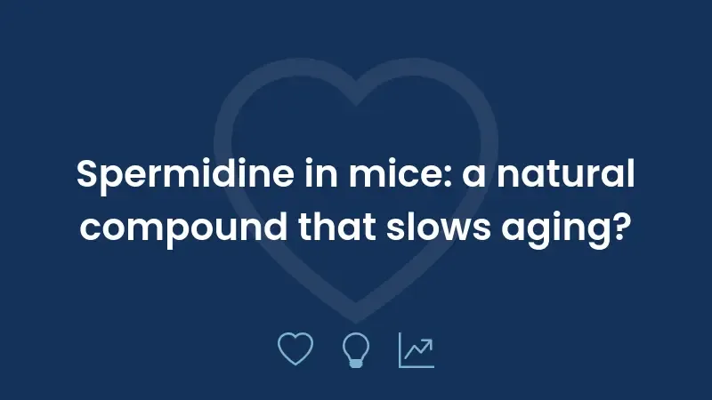Spermidine in mice: a natural compound that slows aging?
